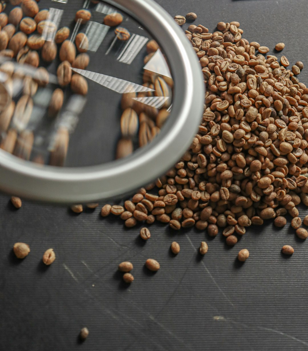 Teilnahme-Projektionsfelder